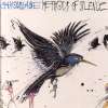 Methods Of Silence - Camouflage
