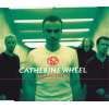 Catherine Wheel - Delicious LP