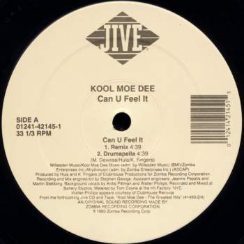 Kool Moe Dee - Can U Feel It