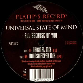 Universal State Of Mind - All Because Of You