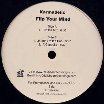 Karmadelic - Flip Your Mind