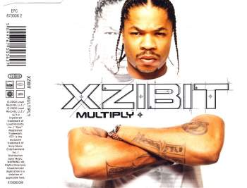 Xzibit - Multiply (feat. Nate Dogg)