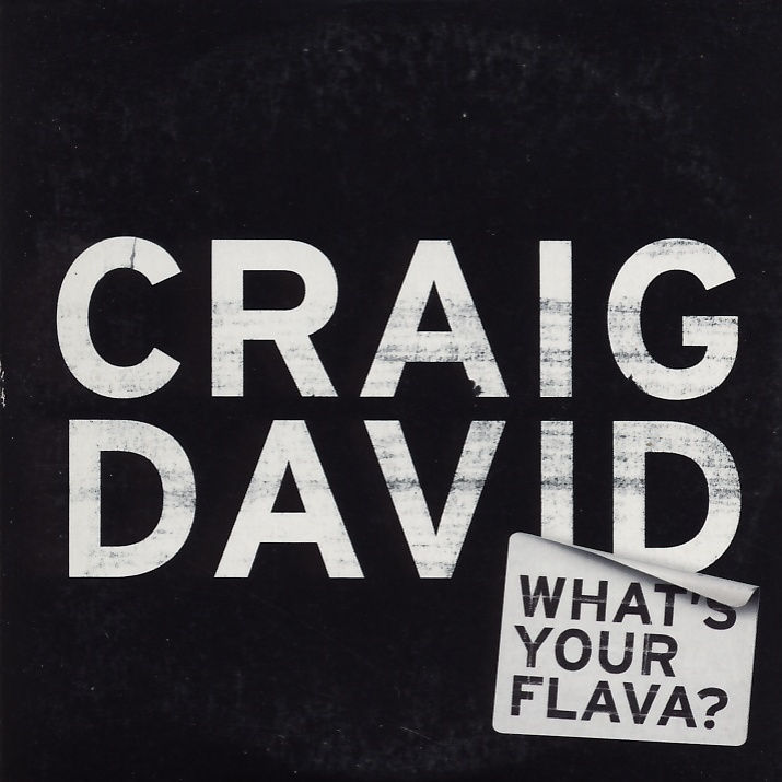 DAVID, CRAIG - What's Your Flava - Disque CD Maxi