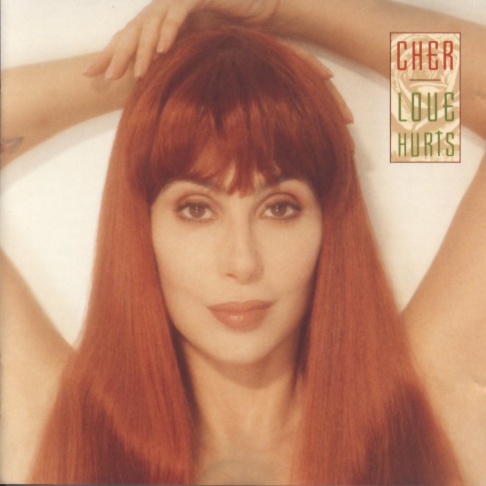 Cher Love Hurts