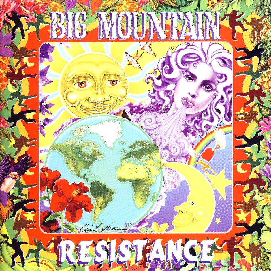 BIG MOUNTAIN - Resistance - Disque CD