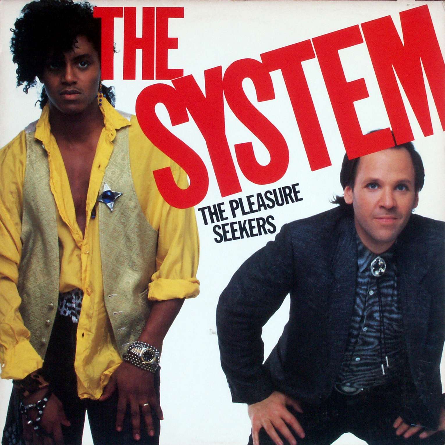 SYSTEM - The Pleasure Seekers - LP