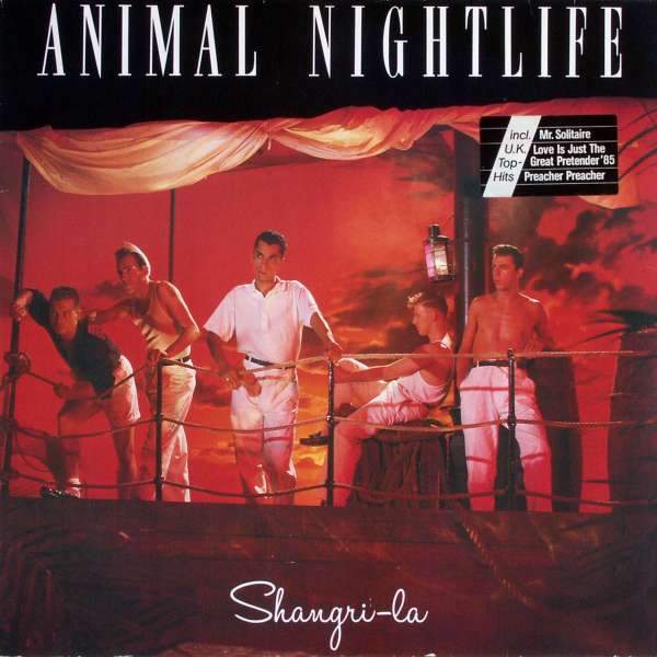 Animal Nightlife - Shangri-La