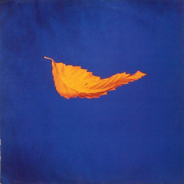 New Order - True Faith