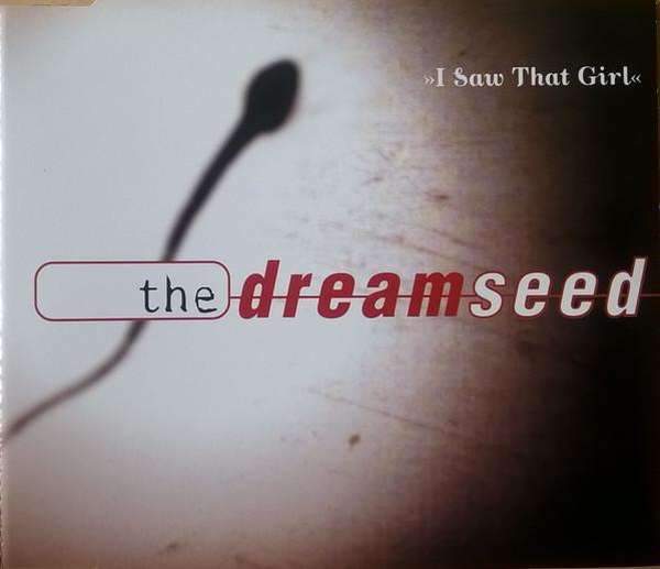 The Dreamseed - I Saw That Girl