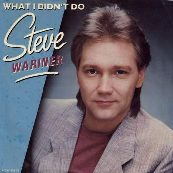 Wariner, Steve - What I Didn't Do