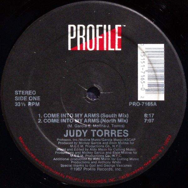 Torres, Judy - Come Into My Arms