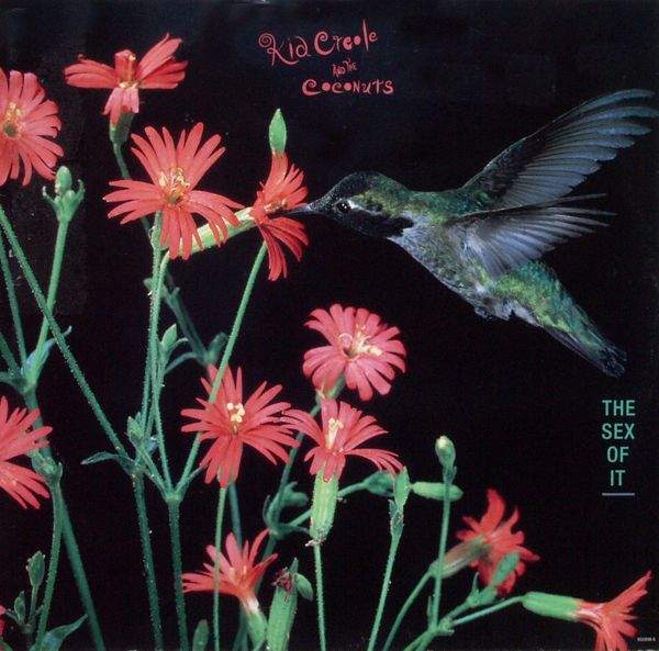 Kid Creole & The Coconuts - The Sex Of It