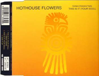Hothouse Flowers - This Is It (Your Soul)
