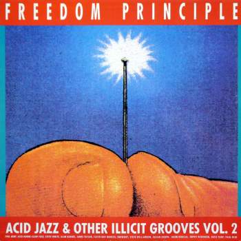Various - Freedom Principle Acid Jazz and Other Illicit Grooves Vol. 2