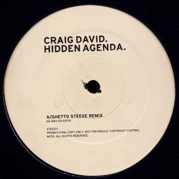 David, Craig - Hidden Agenda