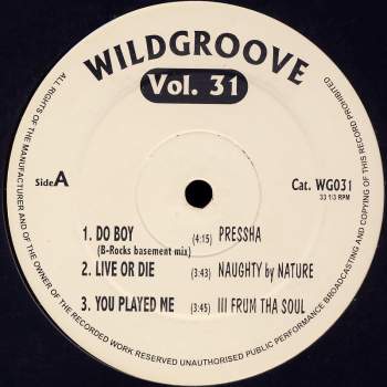 Various - Wildgroove Vol. 31