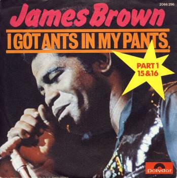 Brown, James - I Got Ants In My Pants