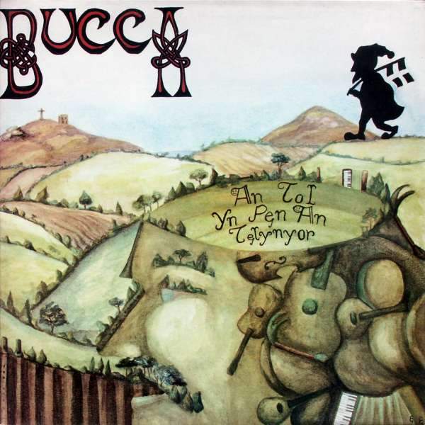 Bucca - The Hole In The Harper's Head